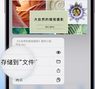 北碚apple维修中心分享iPhone文件应用中存储和找到下载文件