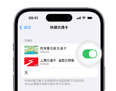 北碚apple维修点分享iPhone上更换Apple Pay快捷交通卡手绘卡面 