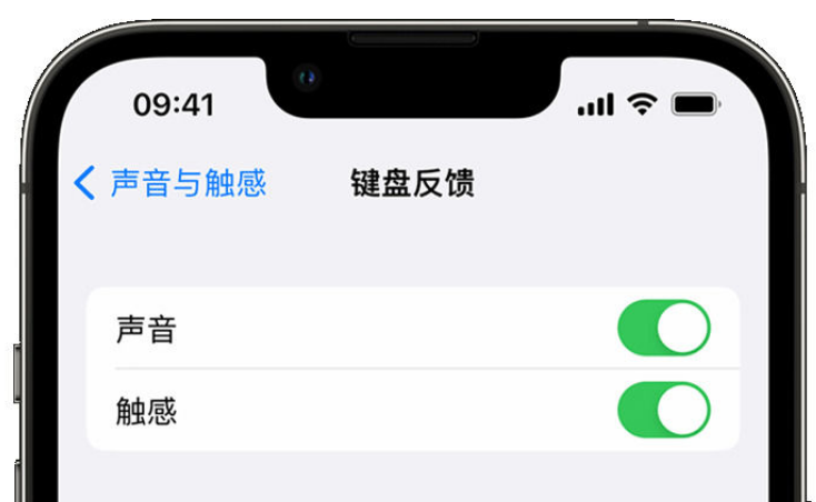 北碚苹果手机维修分享iPhone 14触感键盘使用方法 