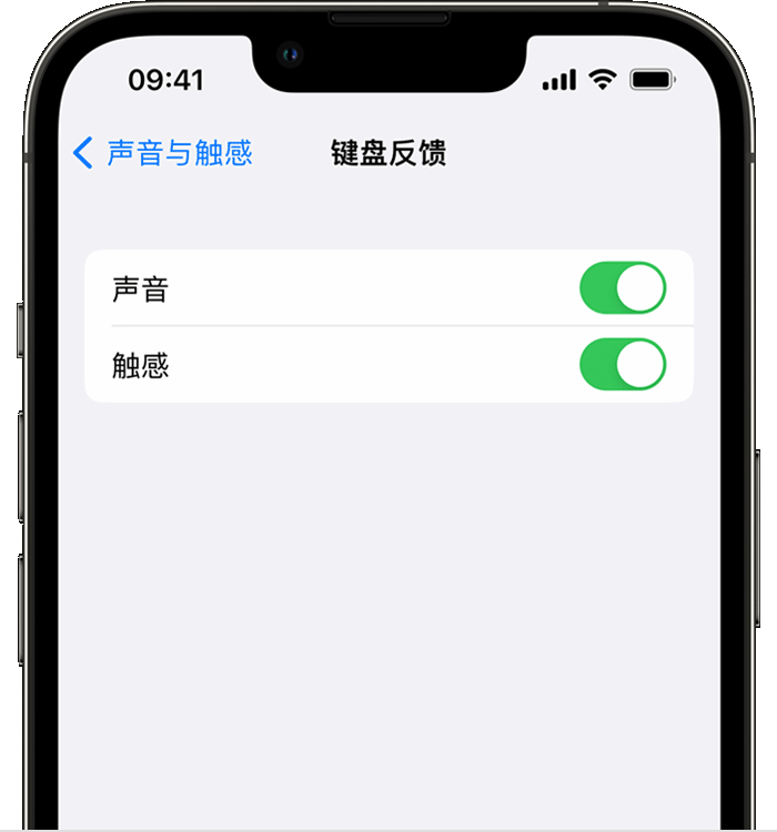 北碚苹果14维修店分享如何在 iPhone 14 机型中使用触感键盘 