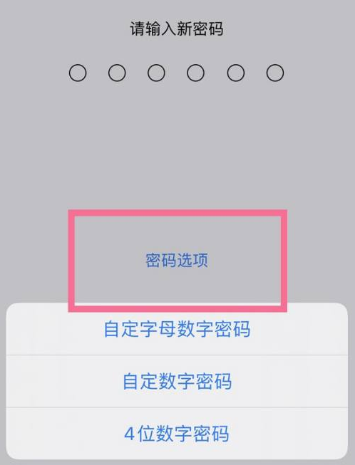 北碚苹果14维修分享iPhone 14plus设置密码的方法 