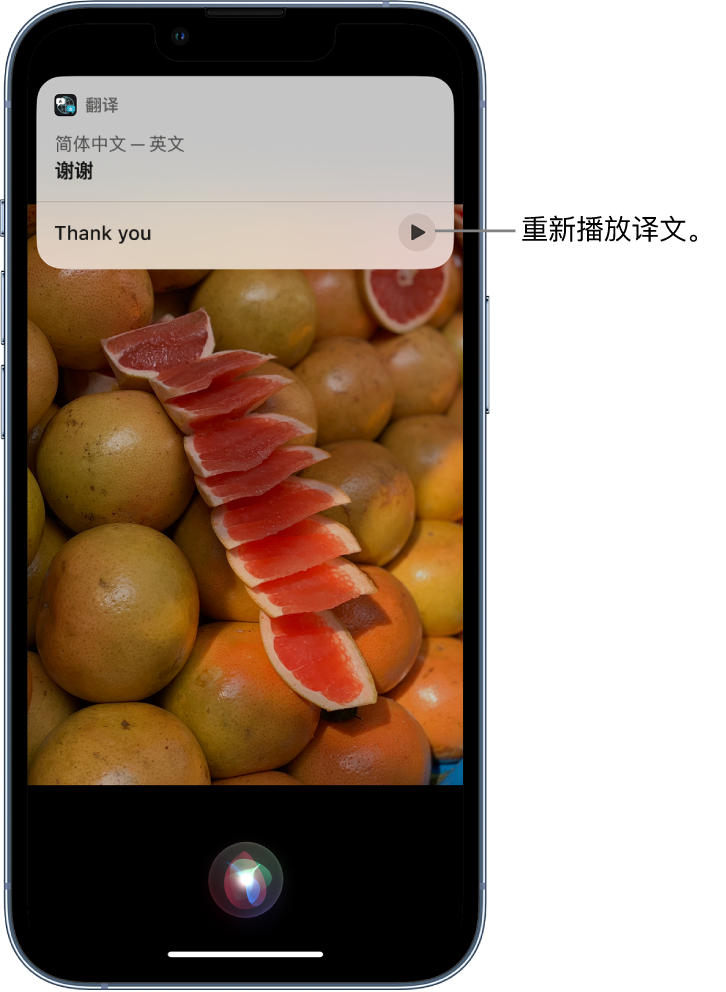 北碚苹果14维修分享 iPhone 14 机型中使用 Siri：了解 Siri 能帮你做什么 