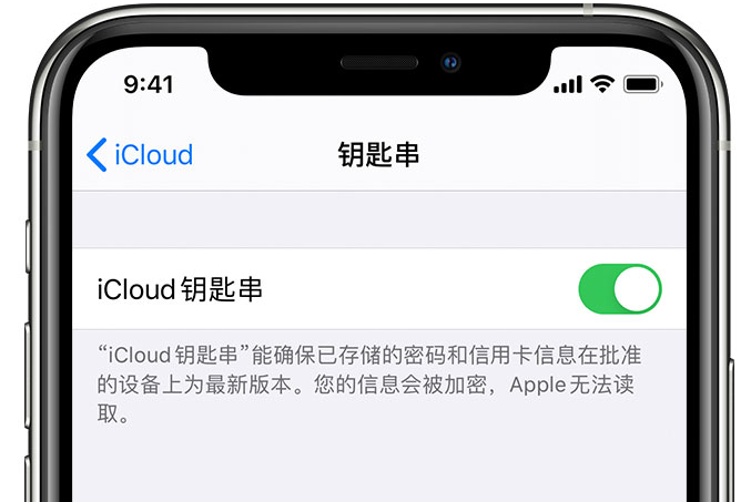 北碚苹果手机维修分享在 iPhone 上开启 iCloud 钥匙串之后会储存哪些信息 