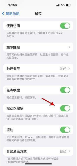 北碚苹果手机维修分享iPhone手机如何设置摇一摇删除文字 