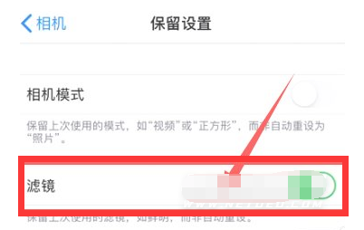 北碚苹果13维修分享iPhone13拍照有绿点是怎么回事 