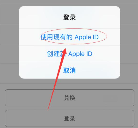北碚苹果手机维修分享两台iPhone设备可以同时登录一个Apple ID吗 